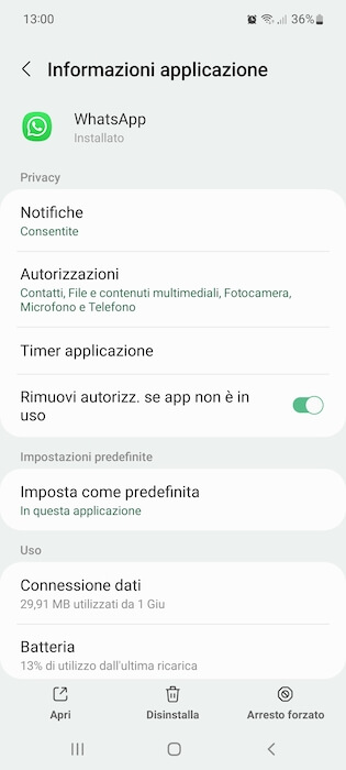 Whatsapp Informazioni Applicazione