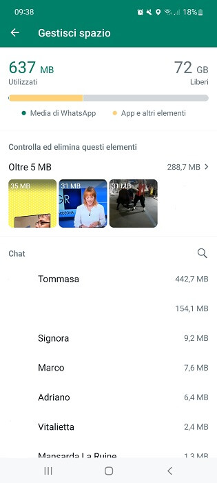 App Whatsapp Gestisci Spazio