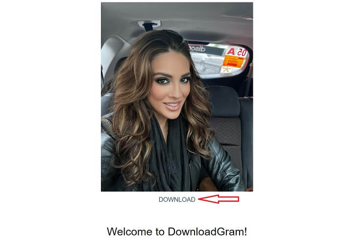 Downloadgram Download