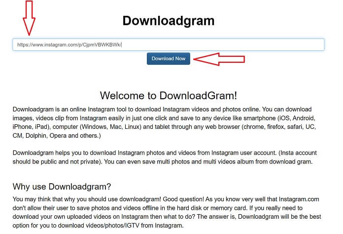 salvare le foto instagram su PC con Downloadgram