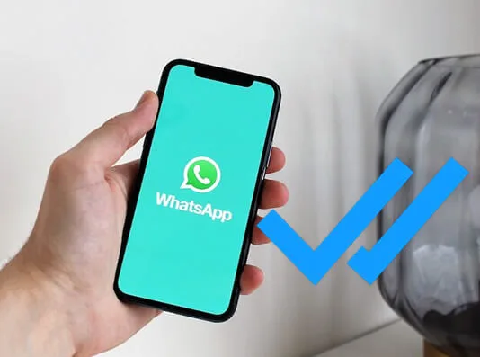 Come eliminare la spunta blu su WhatsApp | GiardiniBlog
