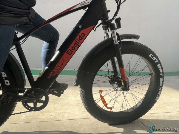 Test Ebike Eleglide Tankroll