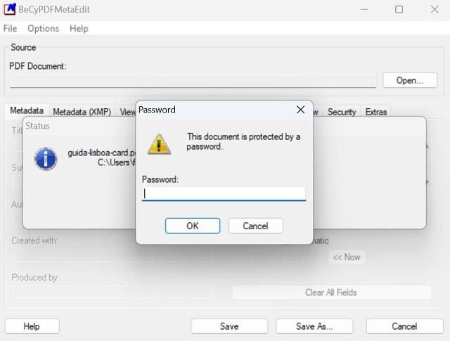 Becypdfmetaedit Inserisci Password