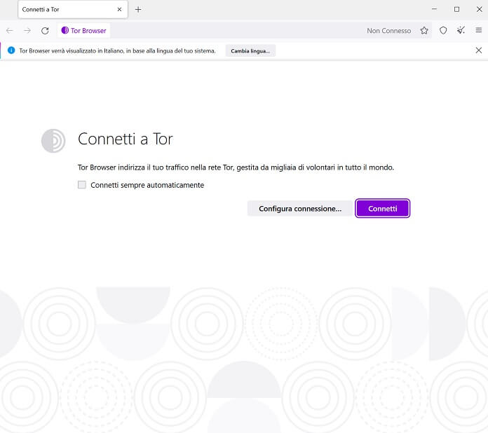 Browser Tor Connessione