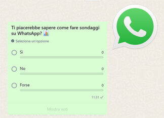 Come fare sondaggi su WhatsApp