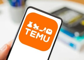 Temu Cover