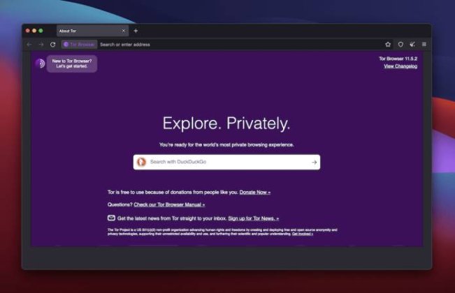 Come accedere al Dark Web in modo sicuro | GiardiniBlog