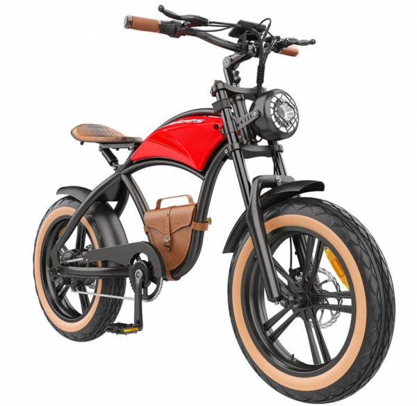 Hidoes B10 Bici Elettrica Motore Da 1000w