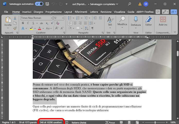 Contare Caratteri Word PC