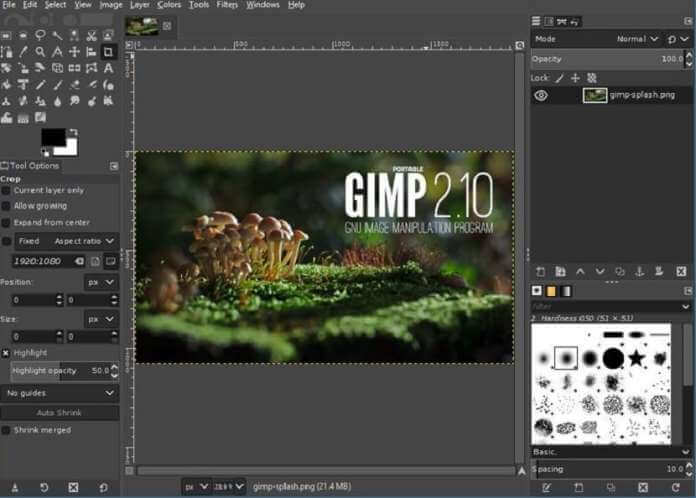 Gimp