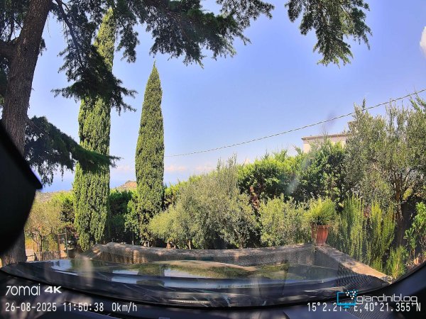 Prima Foto Su 4K T800