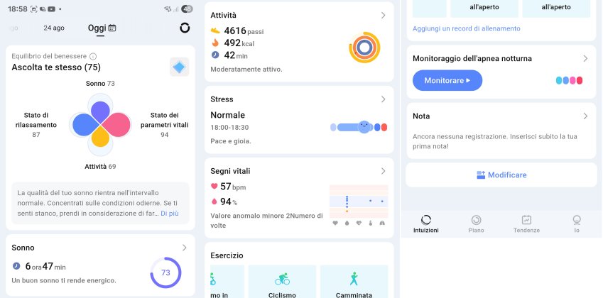 Ringconn App 1