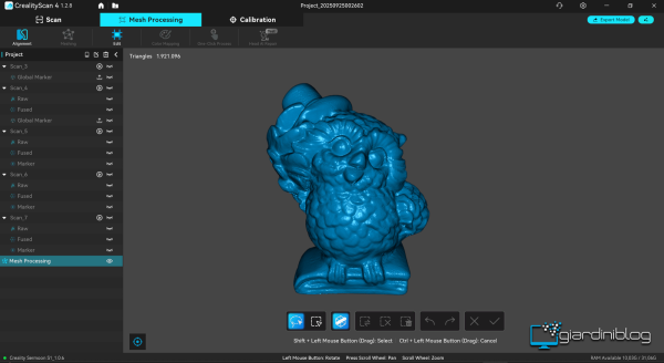 Risultato Con Gufo E Scansione 3D
