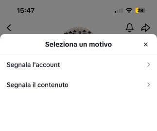 Tiktok Segnala Utente Motivo
