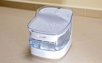 Petgugu Fontain Cover