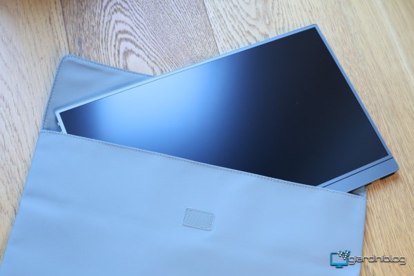 Monitor E Custodia