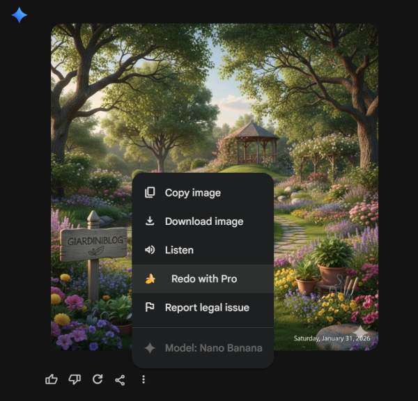 Immagini Con Gemini Pro