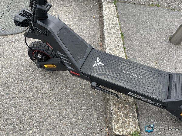 Gradino E Scalini Con Pianta Alta Y1000