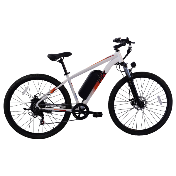PVY M29 White