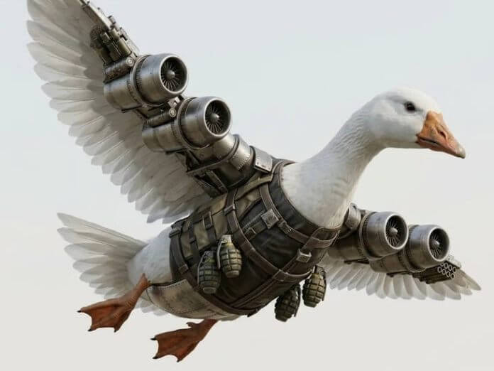 Bombombini Gusini
