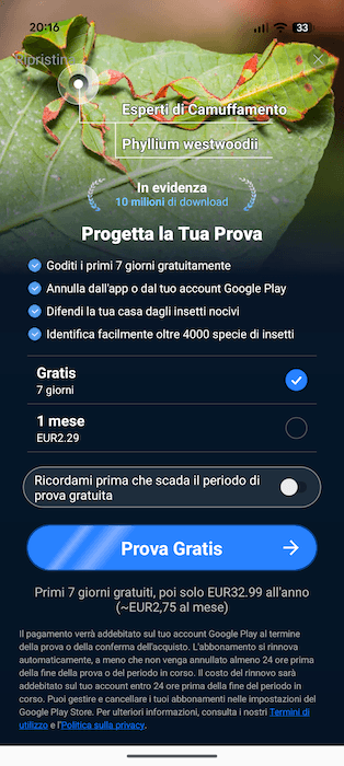 Picture Insect A Pagamento
