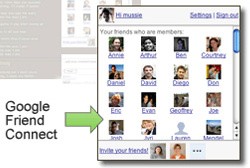 google friend connect